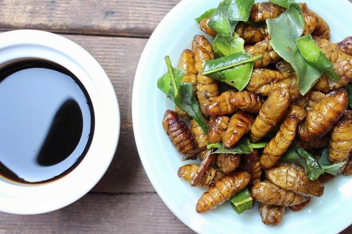 nutrition in eating bugs 696x464